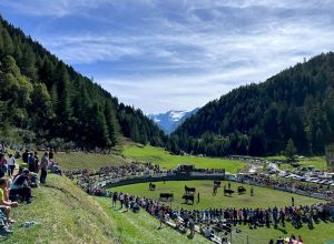 L'arena dell'eliminatoria delle Batailles de reines a Valgrisenche