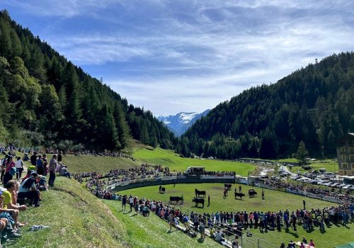 L'arena dell'eliminatoria delle Batailles de reines a Valgrisenche