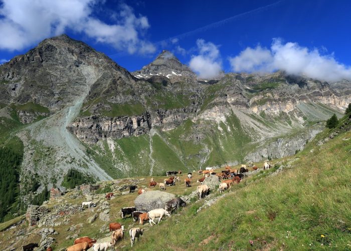 Vallone di Cime Bianche Aosta C fonte portale Luoghi del Cuore
