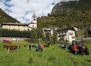 Valpelline “batailles” per la Reine de l’Espace Mont Blanc