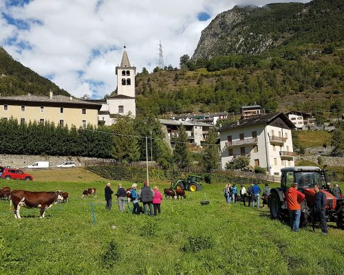 Valpelline “batailles” per la Reine de l’Espace Mont Blanc