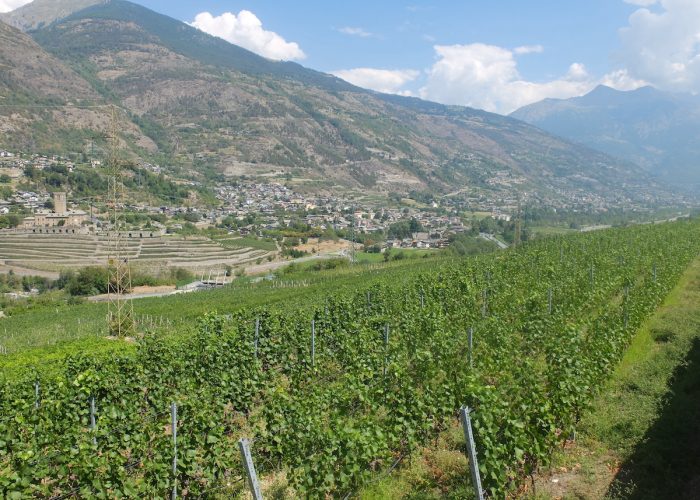 Vini in vigna Aymavilles
