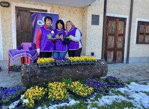 L'iniziativa di distribuzione delle violette