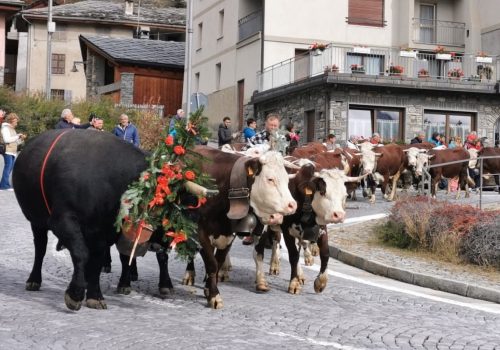 La Désarpa di Vertosan