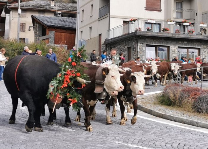 La Désarpa di Vertosan