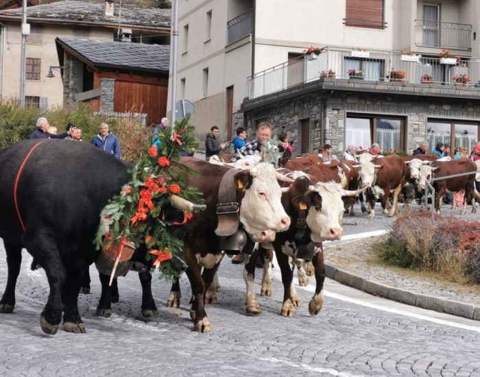 La Désarpa di Vertosan