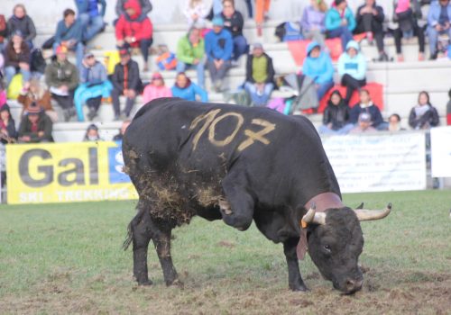 Falchetta in azione domenica alla Croix-Noire Falchetta in azione domenica alla Croix-Noire