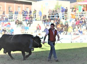 Suisse e Ymac Frassy alla fine del confronto con Briganda dell’azienda agricola Verney ai sedicesimi di finale Suisse e Ymac Frassy alla fine del confronto con Briganda dell’azienda agricola Verney ai sedicesimi di finale