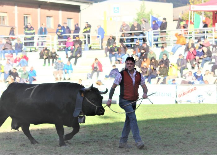 Suisse e Ymac Frassy alla fine del confronto con Briganda dell’azienda agricola Verney ai sedicesimi di finale Suisse e Ymac Frassy alla fine del confronto con Briganda dell’azienda agricola Verney ai sedicesimi di finale