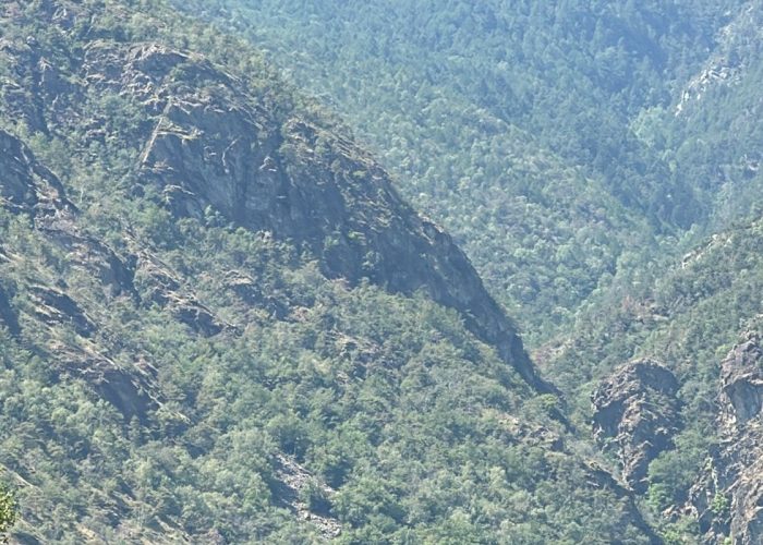 La zona dell'incendio boschivo a Montjovet