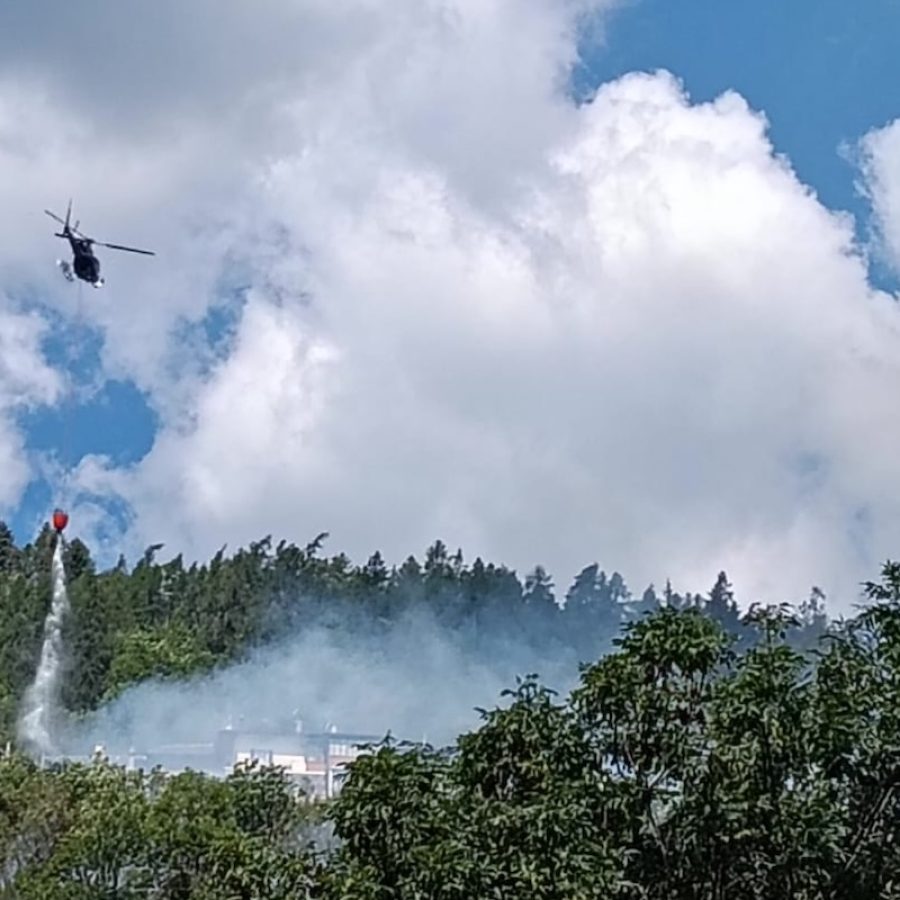 L'incendio boschivo zona di Lexert, a Gignod