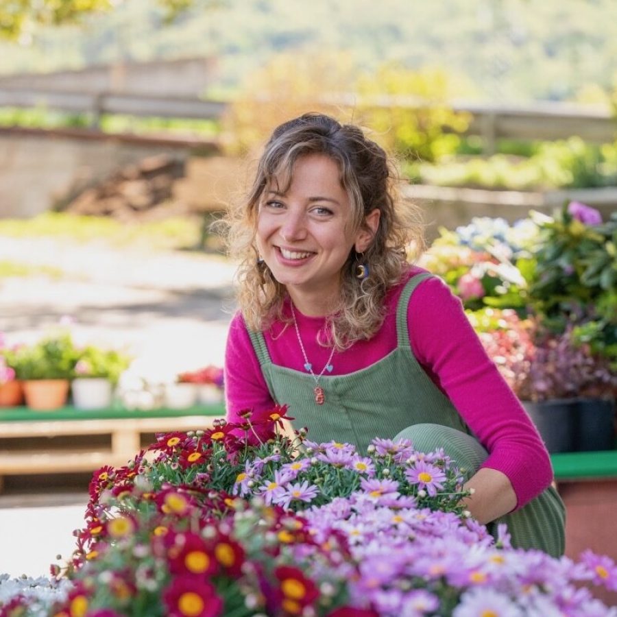 Willam Novelli Au Potager Fiori DSC e