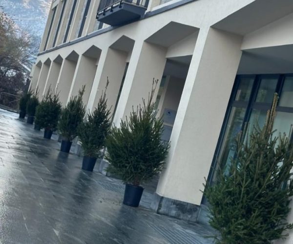 abeti Confcommercio Vda