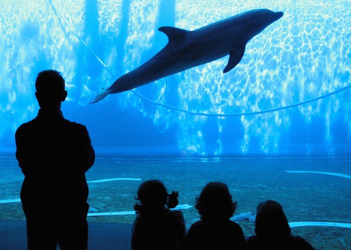 Acquario di Genova