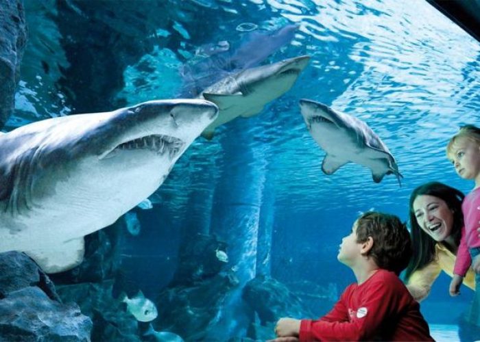 Acquario di Cattolica