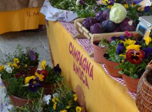 Lo Tsaven - Campagna amica.