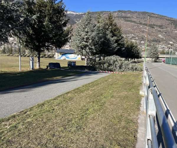 albero caduto a Gressan