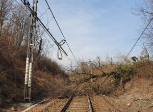 albero caduto su linea ferroviaria