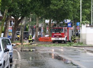 L'albero caduto in Via Saint-Martin