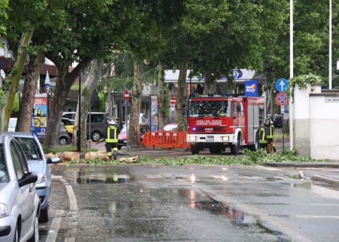 L'albero caduto in Via Saint-Martin