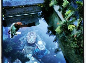 Foto di alexandreshot