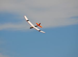 Aliante, alianti