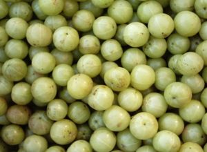 Amla