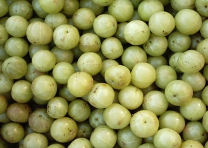 Amla