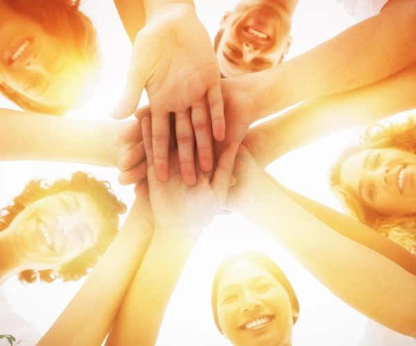 No-profit, volontariato