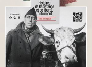 Après la nuit - Alliance