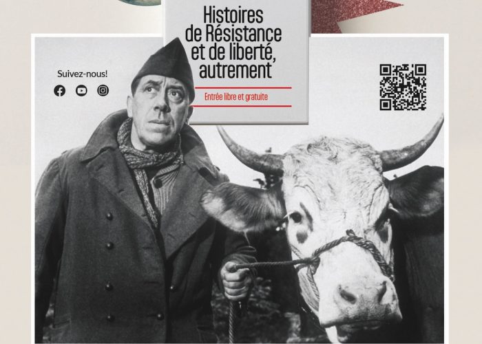 Après la nuit - Alliance