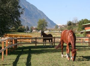 Il maneggio Avres di Nus