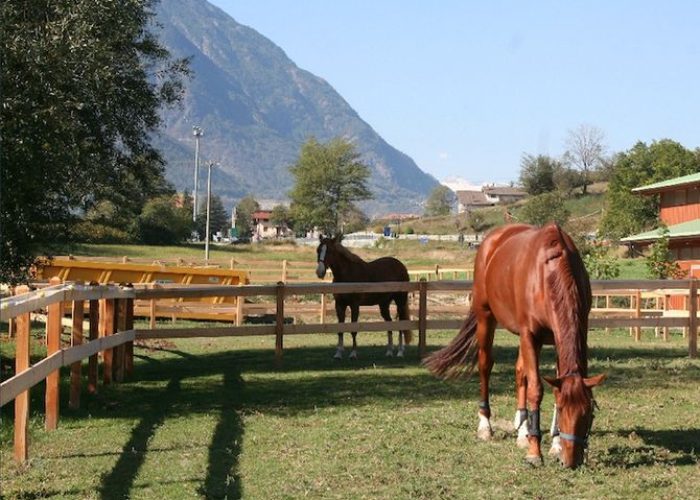 Il maneggio Avres di Nus