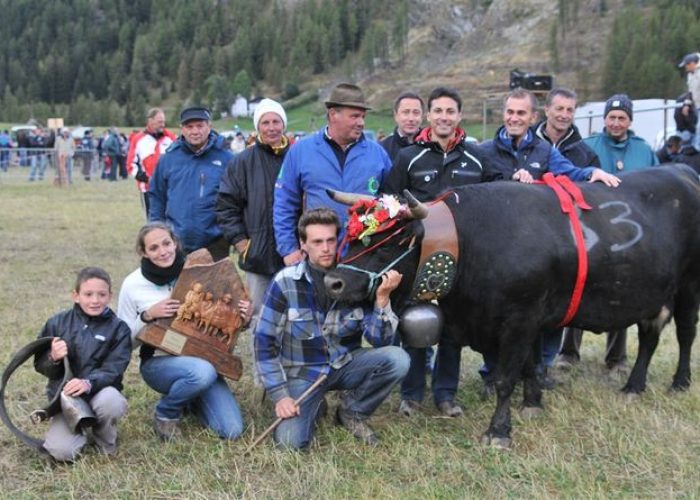 Bandit di Massimiliano Garin di Cogne