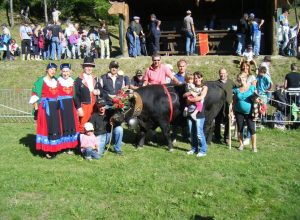 Belva (680kg) di Elso Mus di Torgnon - Reina 1 Cat