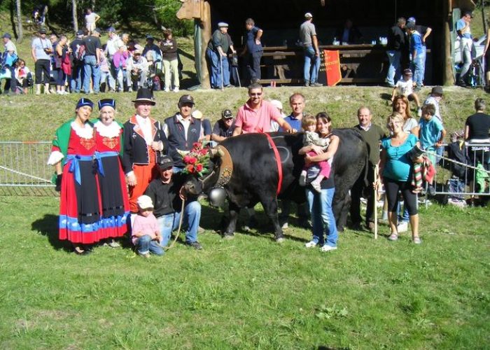 Belva (680kg) di Elso Mus di Torgnon - Reina 1 Cat