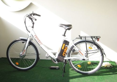 Bici elettrica a pedalata assistita