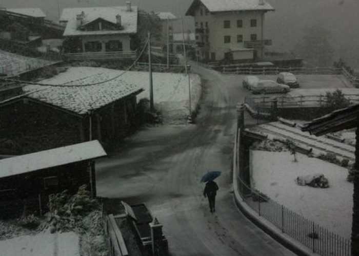 Bosses 1° giugno