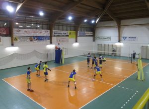 Bruno Tex-Fortitudo Avbc