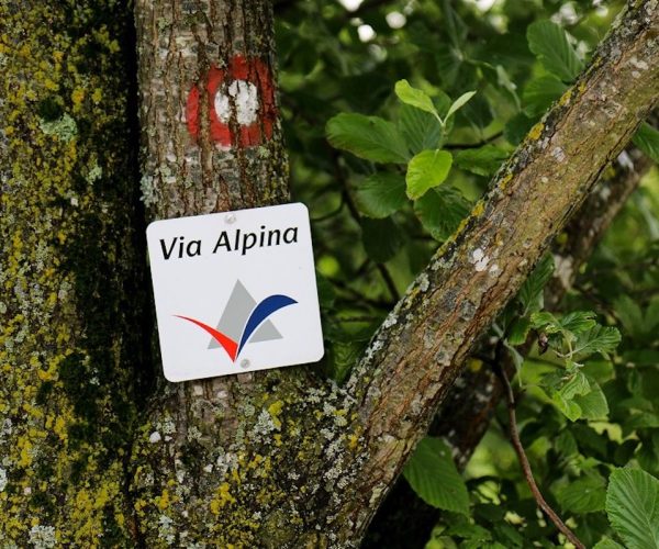 La Via Alpina - Matthieu Chambaud
