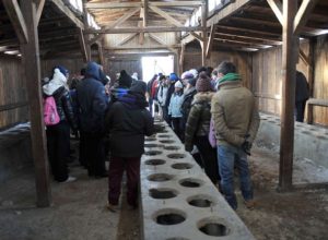 Treno della memoria 2010