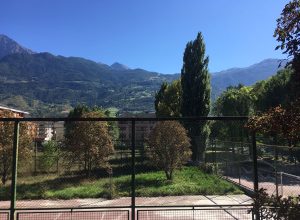 L'ex campo di calcio dell'"Agricola"