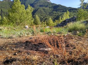 Il luogo in cui è stato ritrovato il cadavere a Fénis