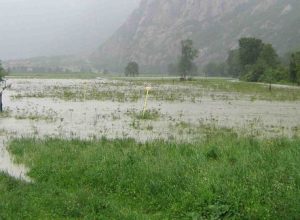 Allagamenti nella campagna di Hône