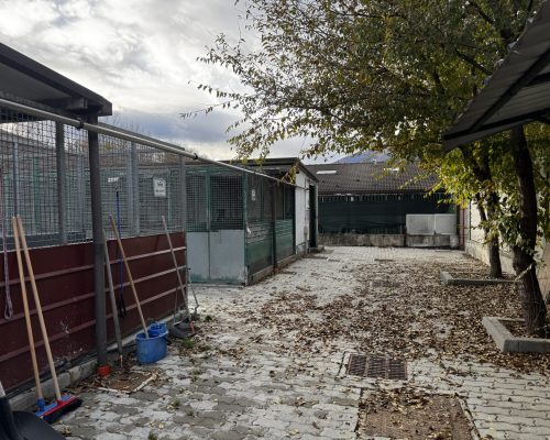 canile e gattile regionale