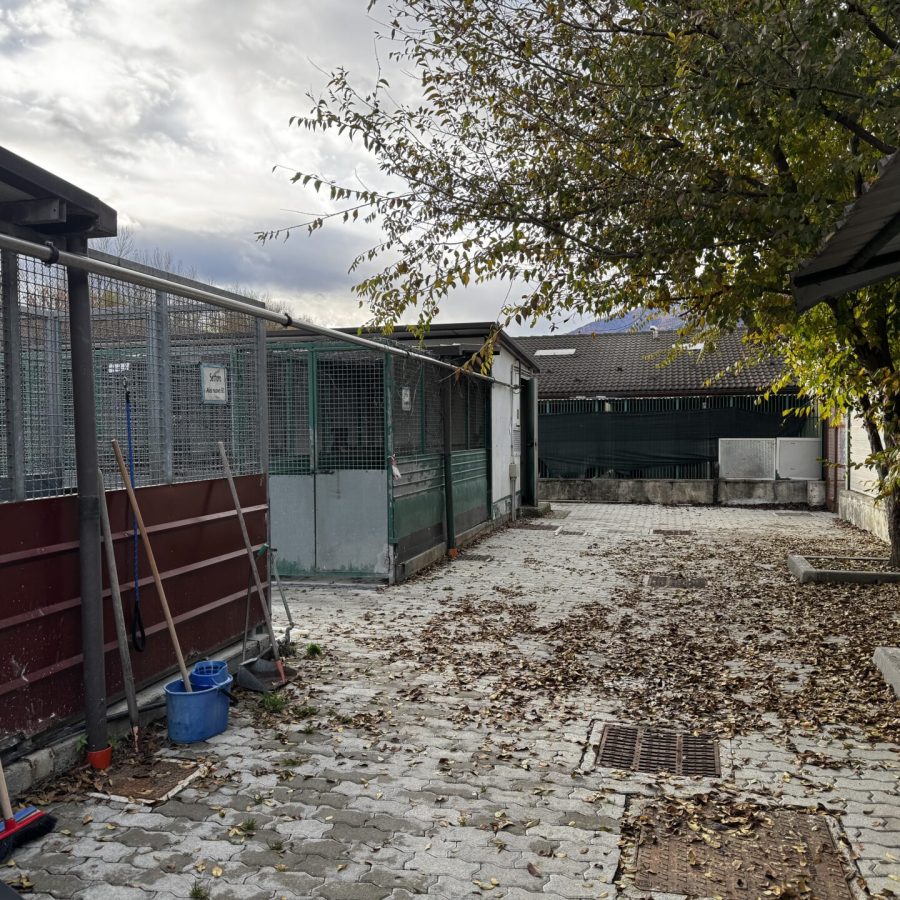 canile e gattile regionale