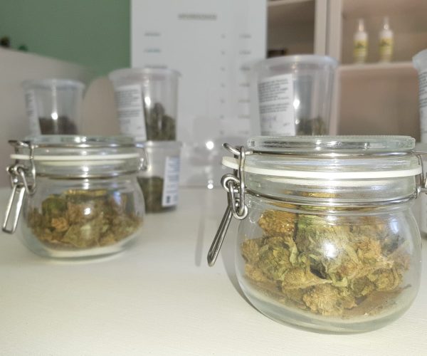 cannabis