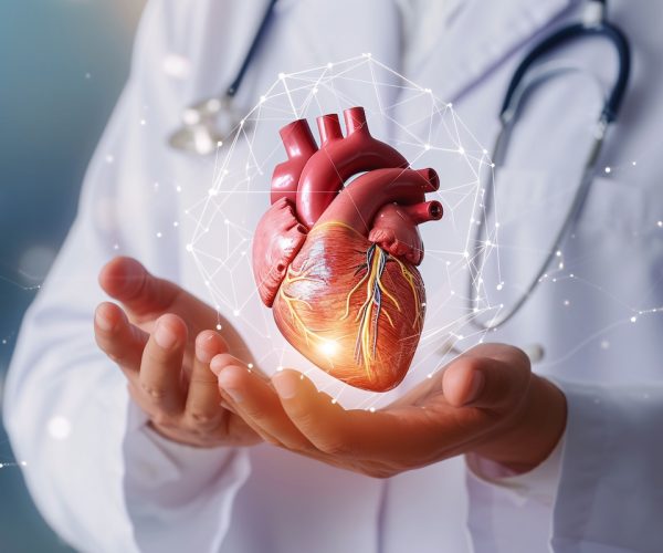 Premium Medica - cardiologia