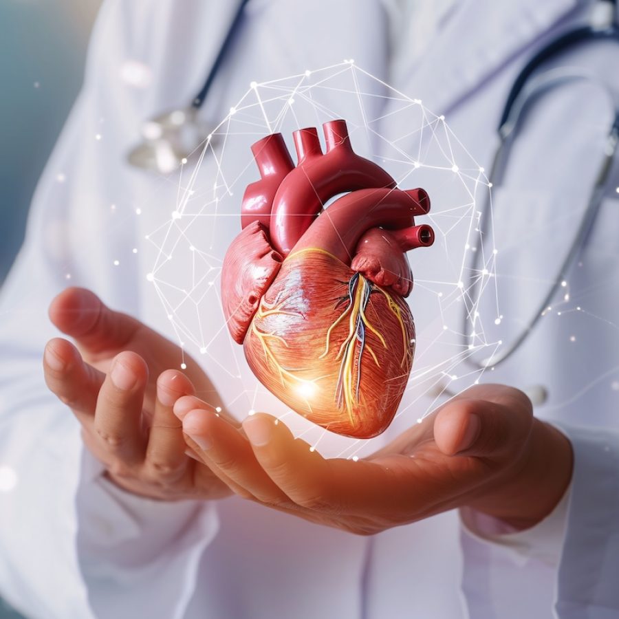 Premium Medica - cardiologia