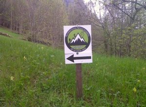 Cartello Mammutrail 2013